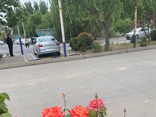駕校風采